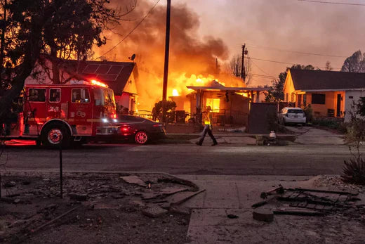 Navigating The Intersection Of Wildfires And Wilderness Travel: Lessons From California'S Recent Infernos, WITZMAN travel guide cover