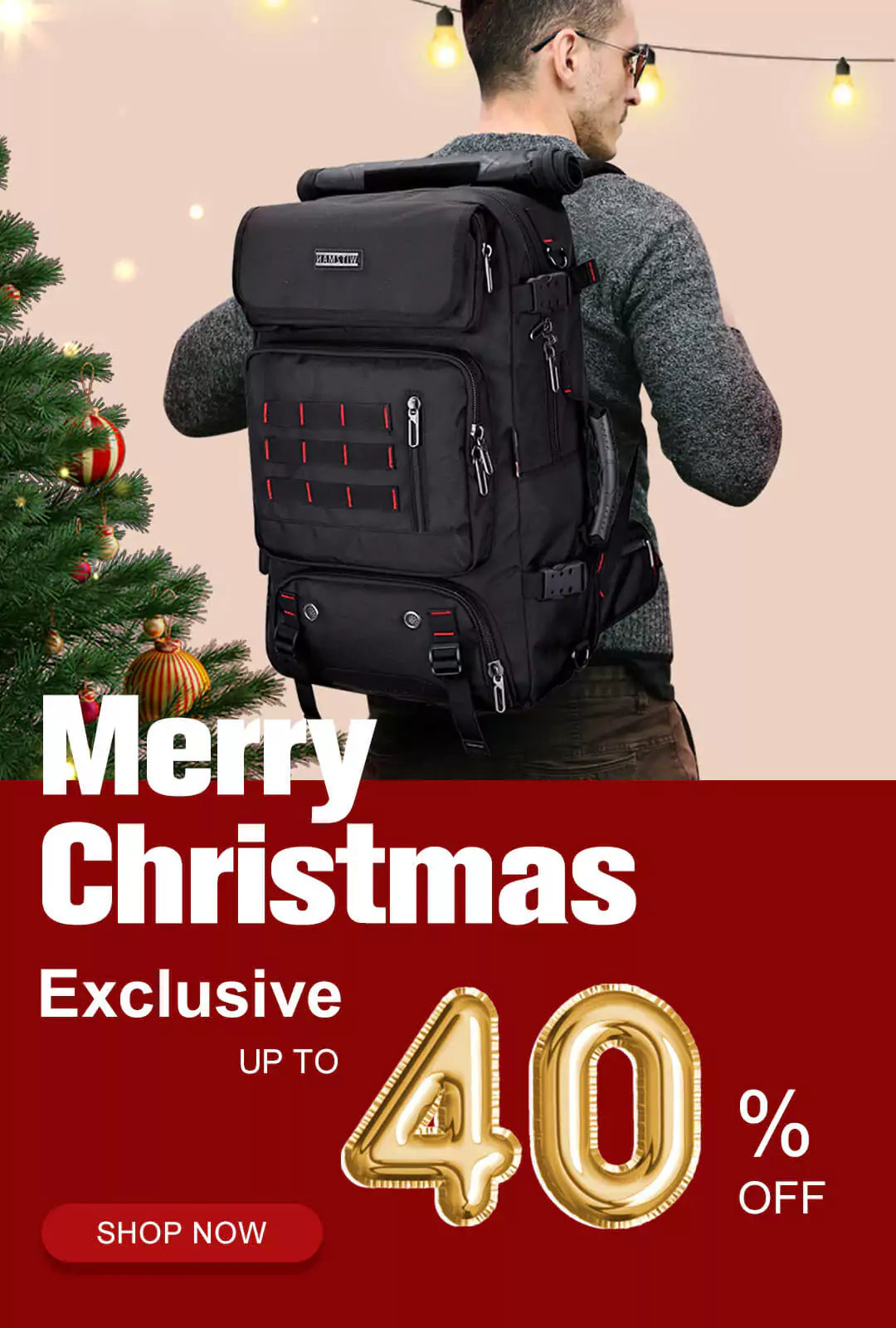 Travel Backpacks Carry on Casual Bags WITZMAN